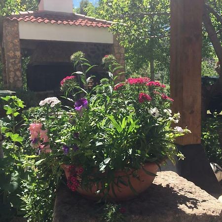 Casas Rurales La Huerta Hotel Salobre  Luaran gambar